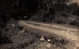 Pembuatan Jalan Tidak Beraspal Lebakwangi, Cinangka oleh PT. Prowandan